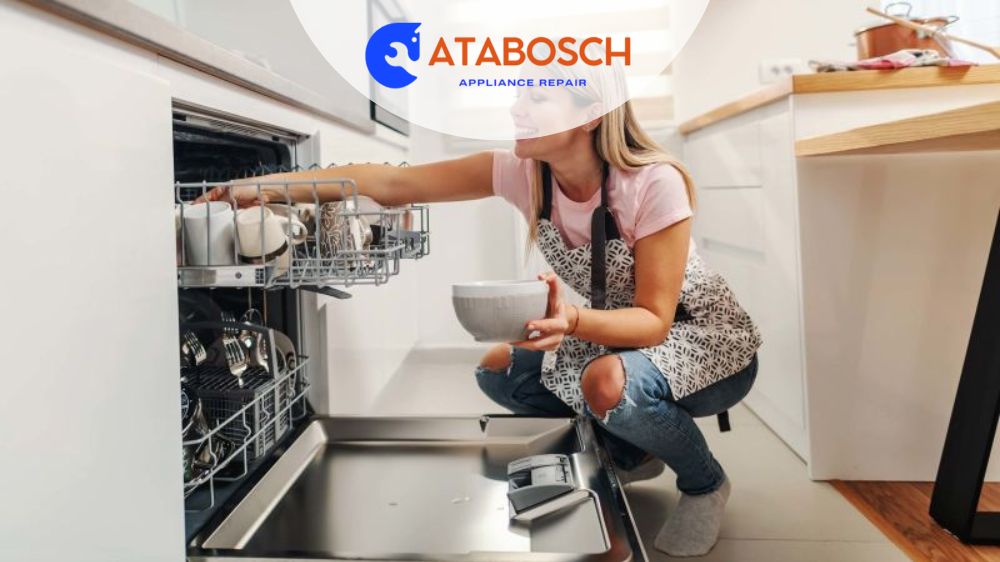 ارورهای ماشین ظرفشویی اسنوا