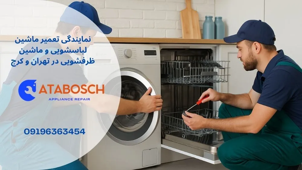 نمایندگی تعمیر لباسشویی و ظرفشویی اسنوا در دزاشیب